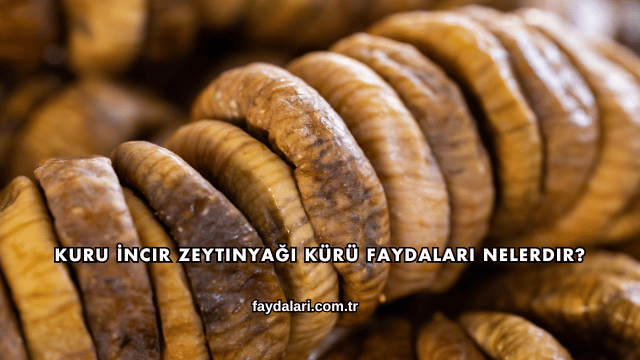 Kuru İncir Zeytinyağı Kürü Faydaları Nelerdir?