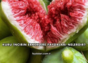 Kuru İncirin Erkeklere Faydaları Nelerdir?