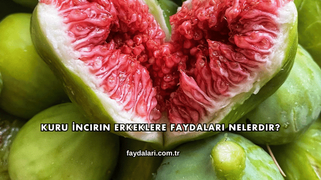 Kuru İncirin Erkeklere Faydaları Nelerdir?