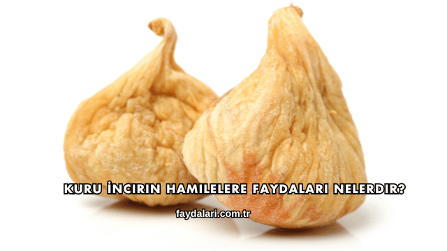 Kuru İncirin Hamilelere Faydaları Nelerdir?