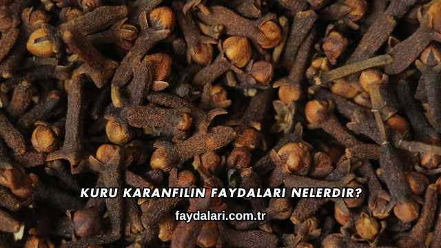 Kuru Karanfilin Faydaları Nelerdir?