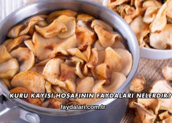 Kuru Kayısı Hoşafının Faydaları Nelerdir?