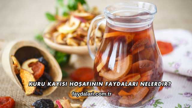Kuru Kayısı Hoşafının Faydaları Nelerdir?