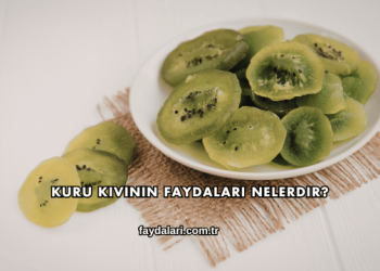 Kuru Kivinin Faydaları Nelerdir?