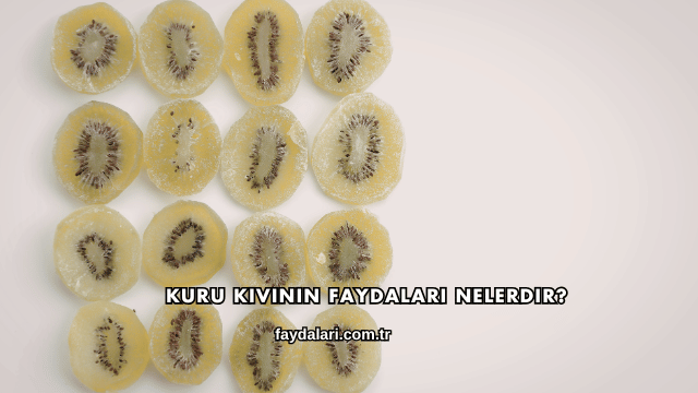Kuru Kivinin Faydaları Nelerdir?