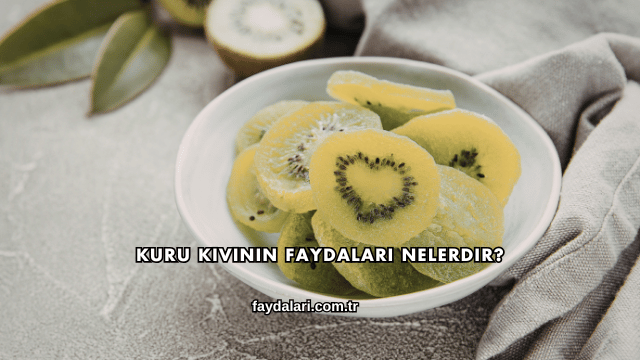 Kuru Kivinin Faydaları Nelerdir?