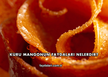 Kuru Mangonun Faydaları Nelerdir?