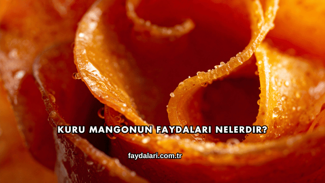 Kuru Mangonun Faydaları Nelerdir?