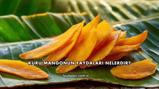 Kuru Mangonun Faydaları Nelerdir?