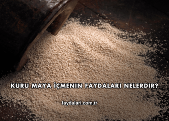 Kuru Maya İçmenin Faydaları Nelerdir?
