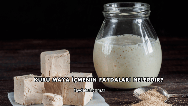 Kuru Maya İçmenin Faydaları Nelerdir?