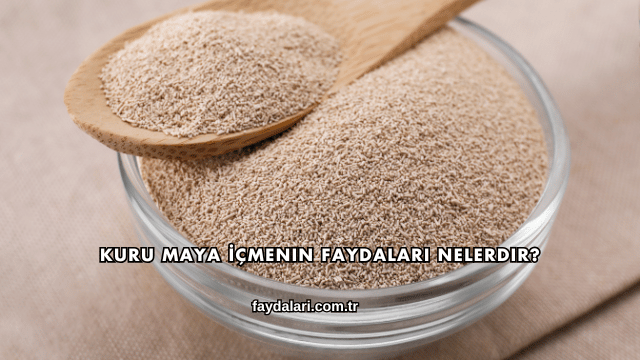 Kuru Maya İçmenin Faydaları Nelerdir?