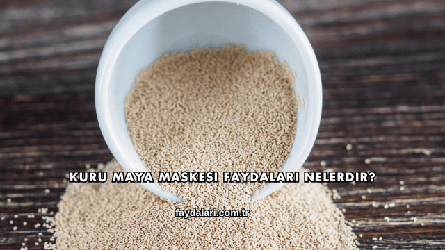 Kuru Maya Maskesi Faydaları Nelerdir?