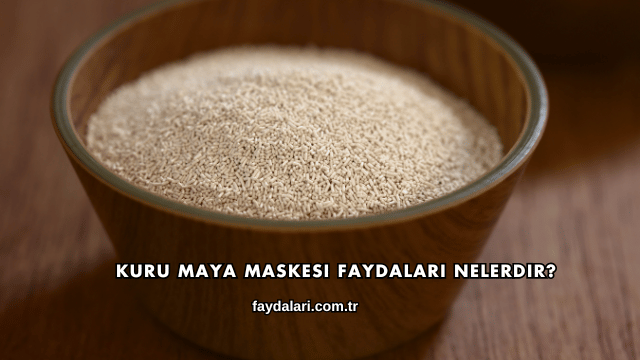 Kuru Maya Maskesi Faydaları Nelerdir?