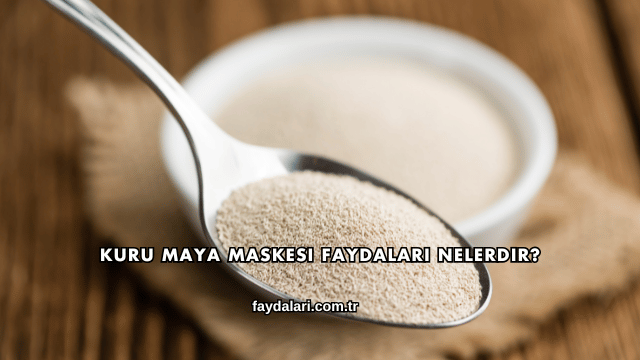 Kuru Maya Maskesi Faydaları Nelerdir?
