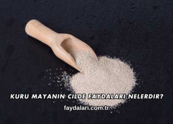 Kuru Mayanın Cilde Faydaları Nelerdir?