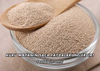 Kuru Mayanın Saça Faydaları Nelerdir