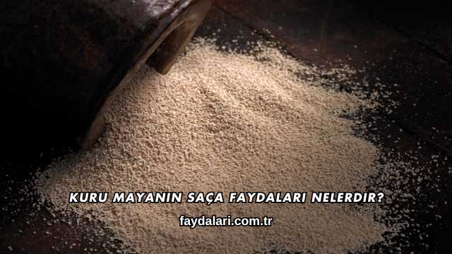 Kuru Mayanın Saça Faydaları Nelerdir