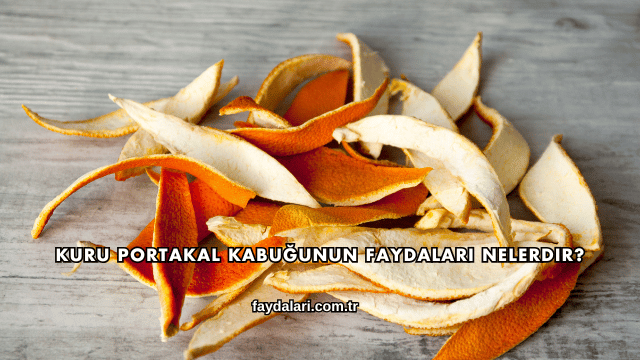 Kuru Portakal Kabuğunun Faydaları Nelerdir?