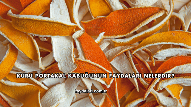 Kuru Portakal Kabuğunun Faydaları Nelerdir?