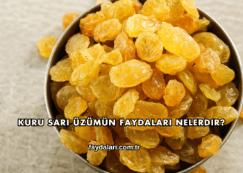 Kuru Sarı Üzümün Faydaları Nelerdir?