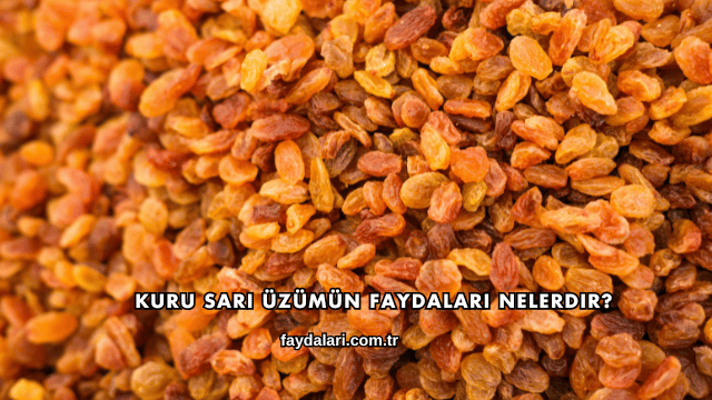 Kuru Sarı Üzümün Faydaları Nelerdir?
