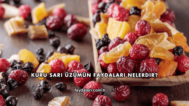 Kuru Sarı Üzümün Faydaları Nelerdir?