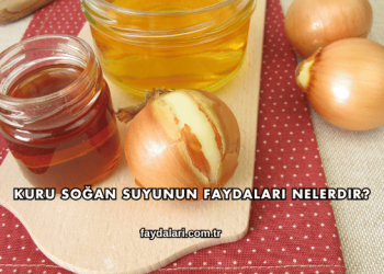 Kuru Soğan Suyunun Faydaları Nelerdir?