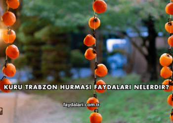 Kuru Trabzon Hurması Faydaları Nelerdir?