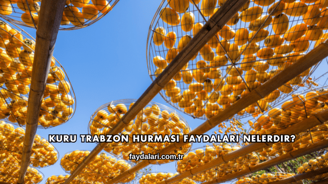 Kuru Trabzon Hurması Faydaları Nelerdir?