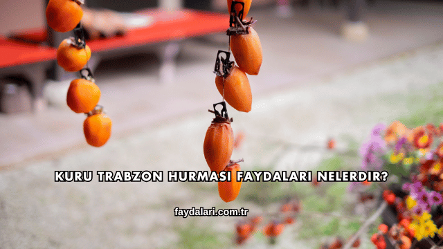 Kuru Trabzon Hurması Faydaları Nelerdir?