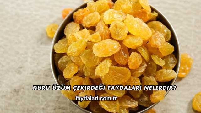 Kuru Üzüm Çekirdeği Faydaları Nelerdir?