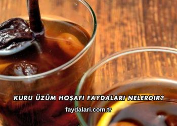 Kuru Üzüm Hoşafı Faydaları Nelerdir?