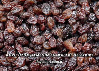 Kuru Üzüm Yemenin Faydaları Nelerdir?