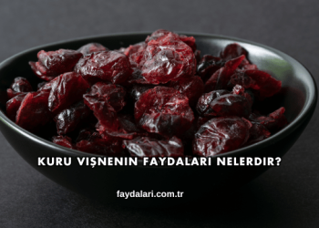 Kuru Vişnenin Faydaları Nelerdir?