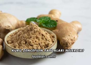 Kuru Zencefilin Faydaları Nelerdir?