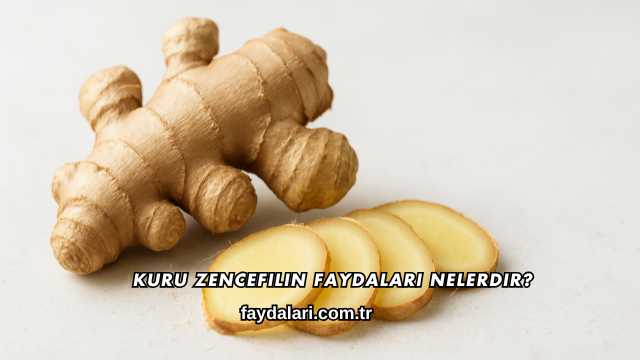 Kuru Zencefilin Faydaları Nelerdir?
