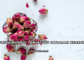 Kurutulmuş Gül Tomurcuğu Faydaları Nelerdir?