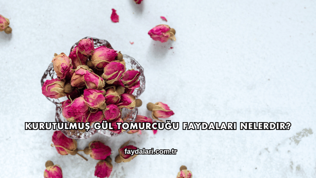 Kurutulmuş Gül Tomurcuğu Faydaları Nelerdir?