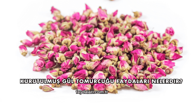Kurutulmuş Gül Tomurcuğu Faydaları Nelerdir?