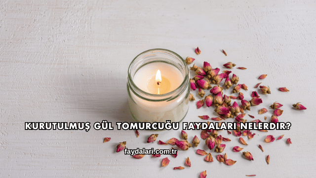 Kurutulmuş Gül Tomurcuğu Faydaları Nelerdir?