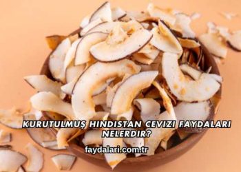 Kurutulmuş Hindistan Cevizi Faydaları Nelerdir?
