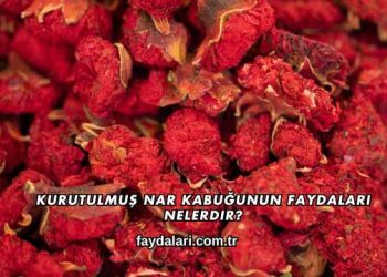 Kurutulmuş Nar Kabuğunun Faydaları Nelerdir?