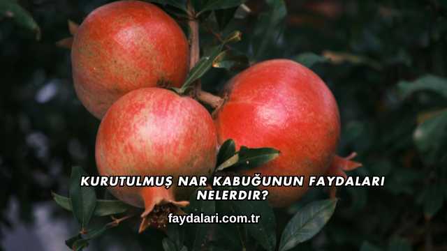 Kurutulmuş Nar Kabuğunun Faydaları Nelerdir?