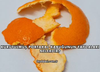 Kurutulmuş Portakal Kabuğunun Faydaları Nelerdir?