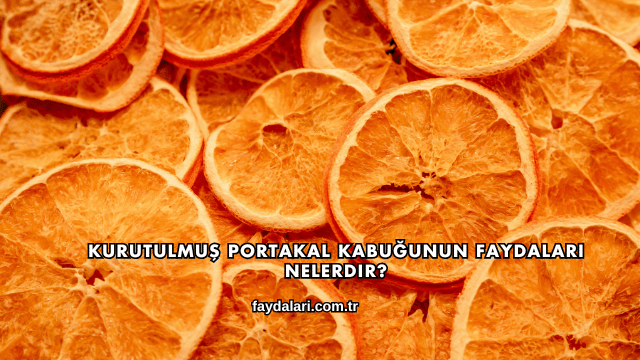 Kurutulmuş Portakal Kabuğunun Faydaları Nelerdir?