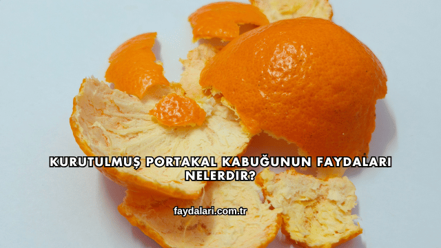 Kurutulmuş Portakal Kabuğunun Faydaları Nelerdir?