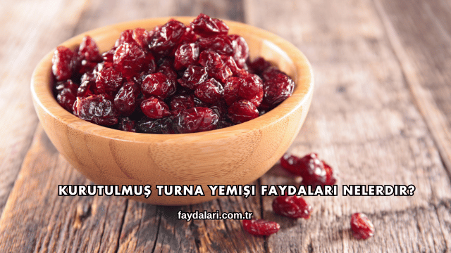 Kurutulmuş Turna Yemişi Faydaları Nelerdir?