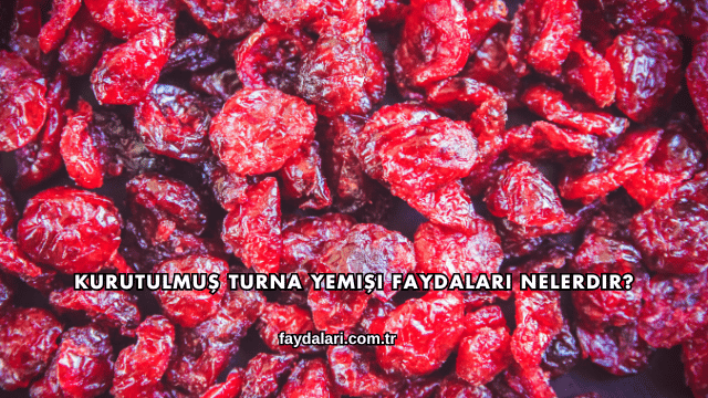 Kurutulmuş Turna Yemişi Faydaları Nelerdir?