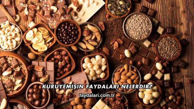 Kuruyemişin Faydaları Nelerdir?